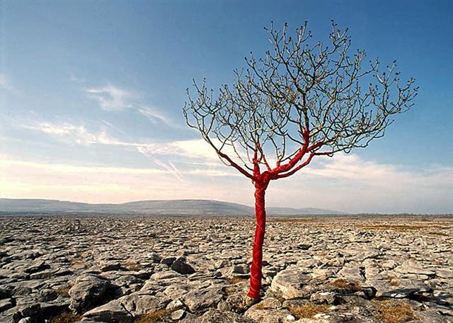 VERONICA NICHOLSON_burren wrapped_3 (Small)